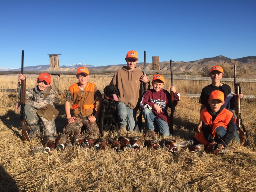 sfw pheasant
