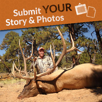 Submit Your Story & Photos