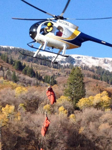 SFW Goat Transplant Chopper