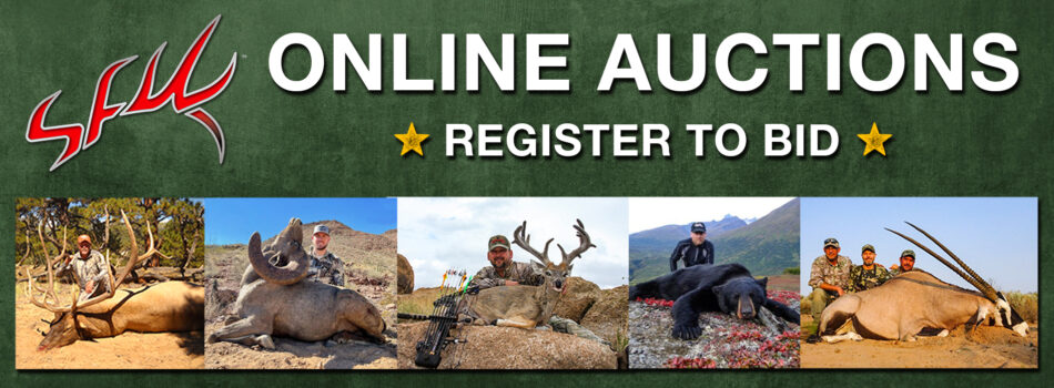SFW Slider Auctions